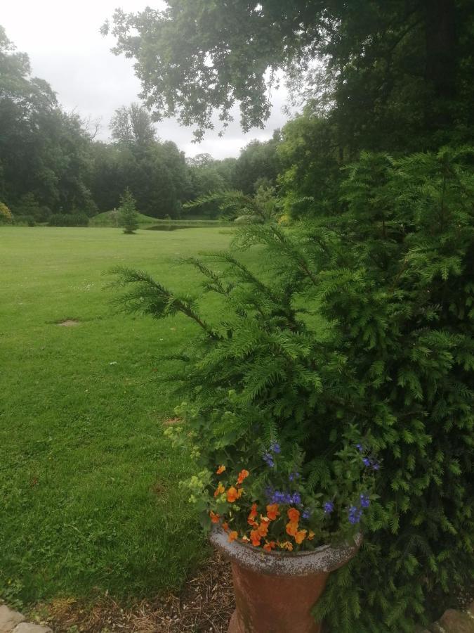 Chambre E Andre Le Domaine Des Jardins De Bracquetuit Eksteriør billede
