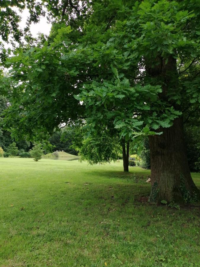 Chambre E Andre Le Domaine Des Jardins De Bracquetuit Eksteriør billede