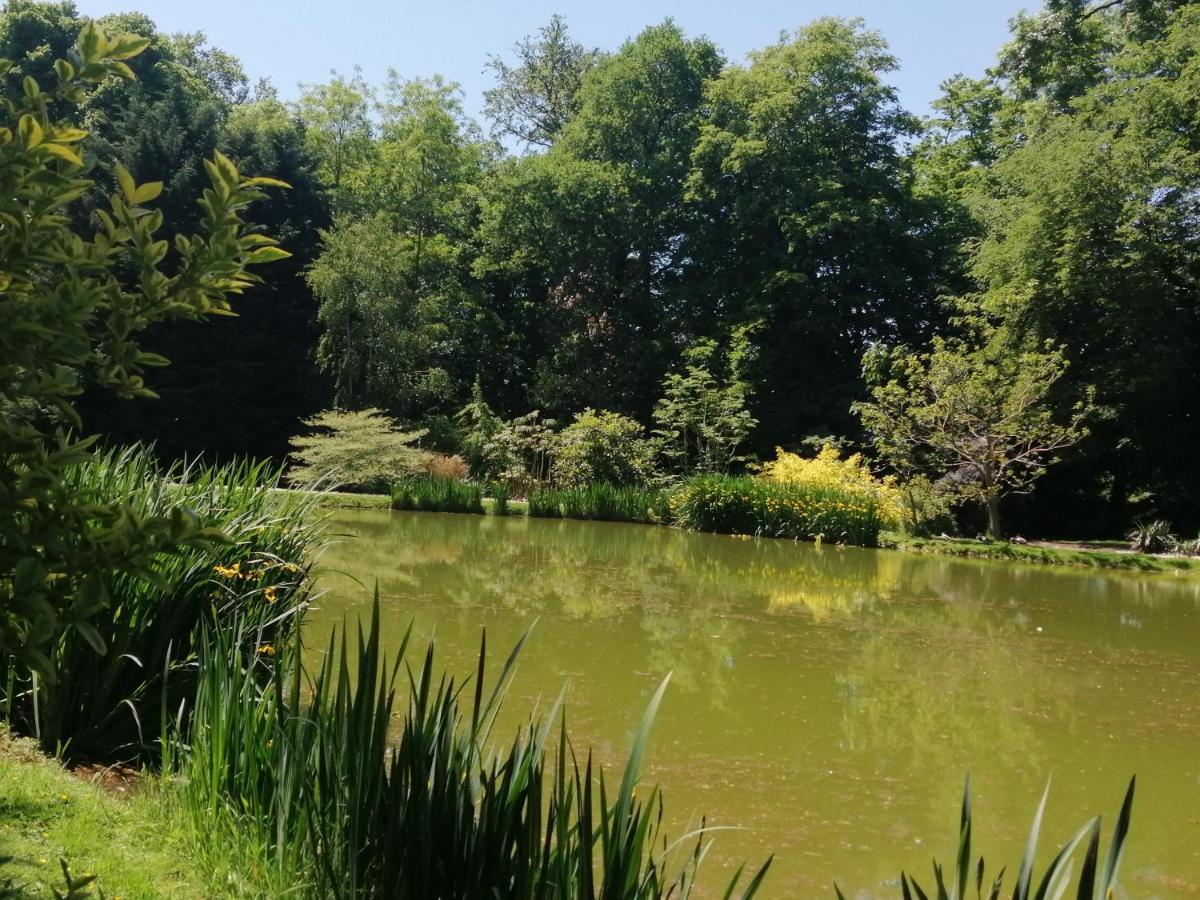 Chambre E Andre Le Domaine Des Jardins De Bracquetuit Eksteriør billede