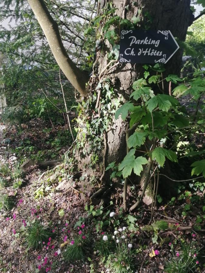 Chambre E Andre Le Domaine Des Jardins De Bracquetuit Eksteriør billede